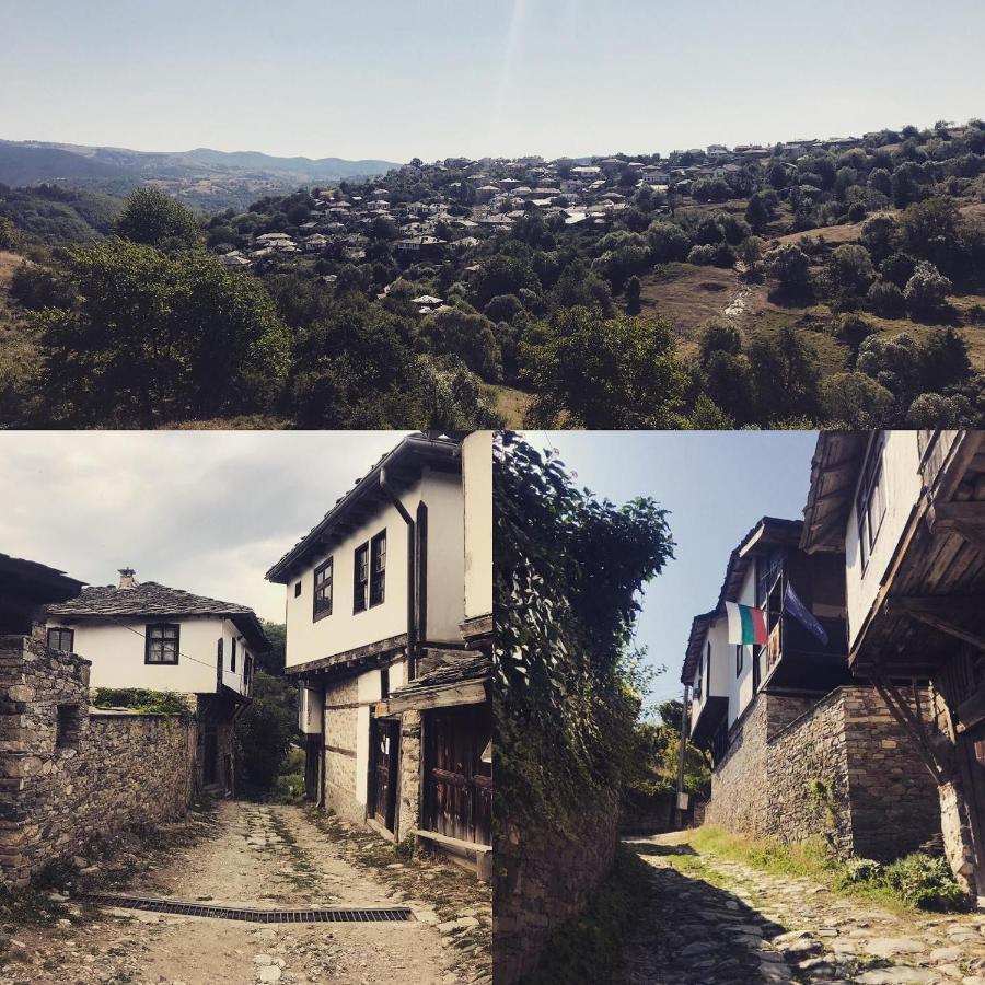 Sharkovata Guest House Dolen  Exteriér fotografie