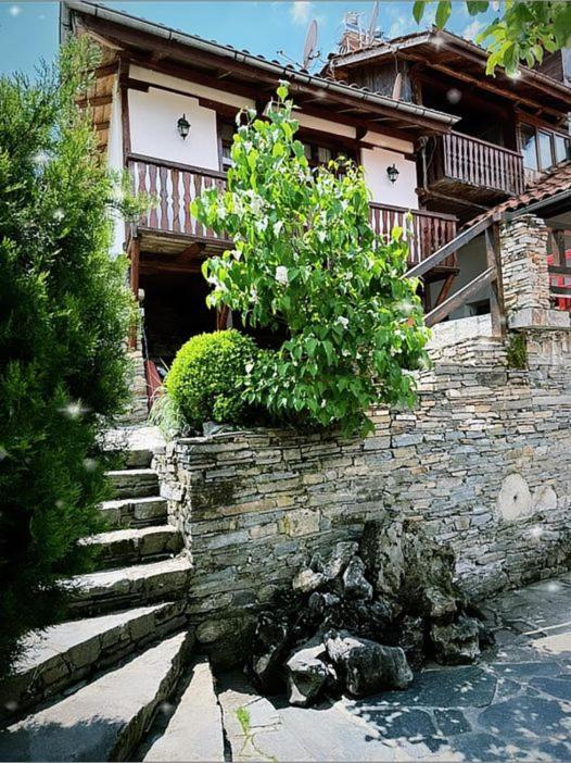 Sharkovata Guest House Dolen  Exteriér fotografie