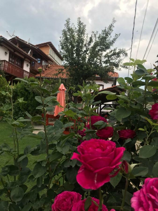 Sharkovata Guest House Dolen  Exteriér fotografie
